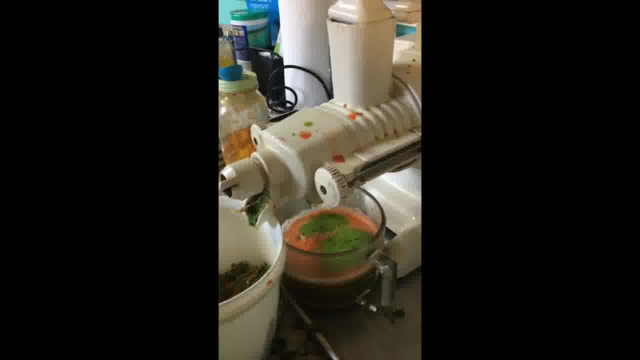 raw vegetable juicing