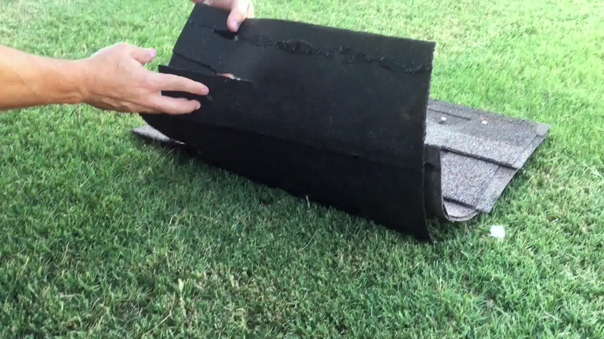  what does hail look like on shingles