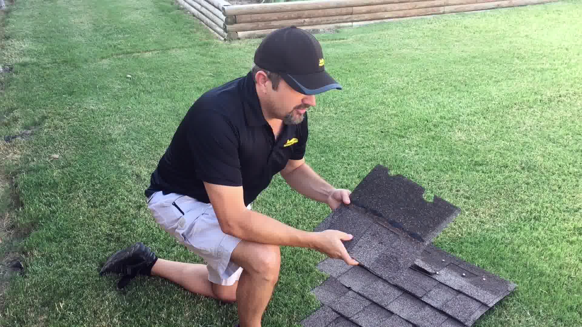  what does hail look like on shingles